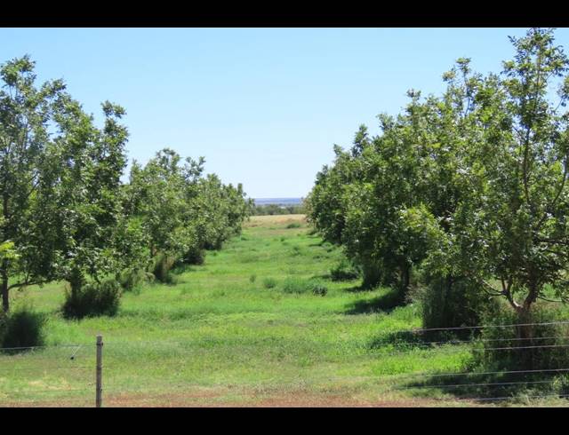 213HA FARM FOR SALE IN HOPETOWN RURAL
